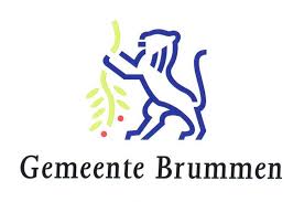 gemeente brummen Flag